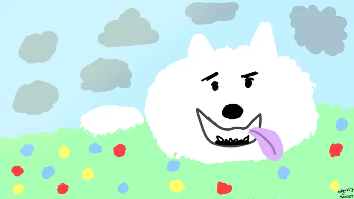 samoyed