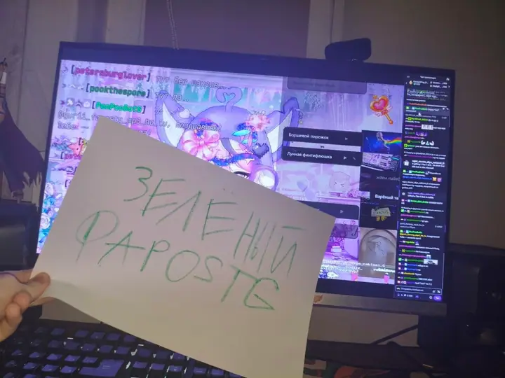 signa 2