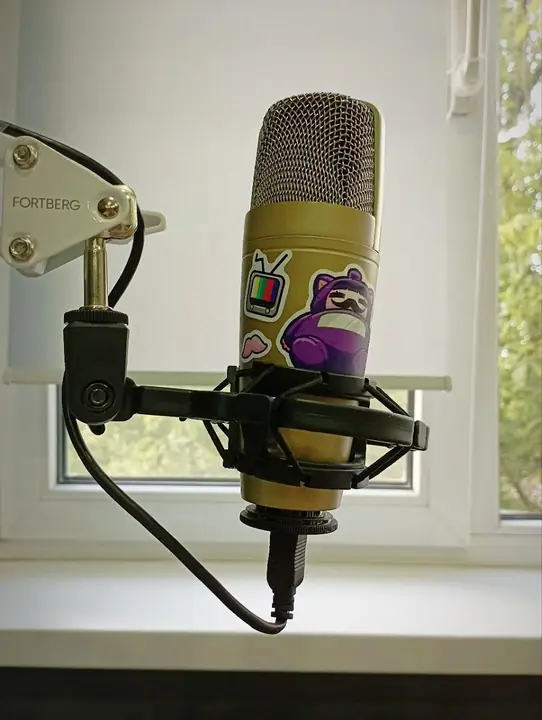 mic